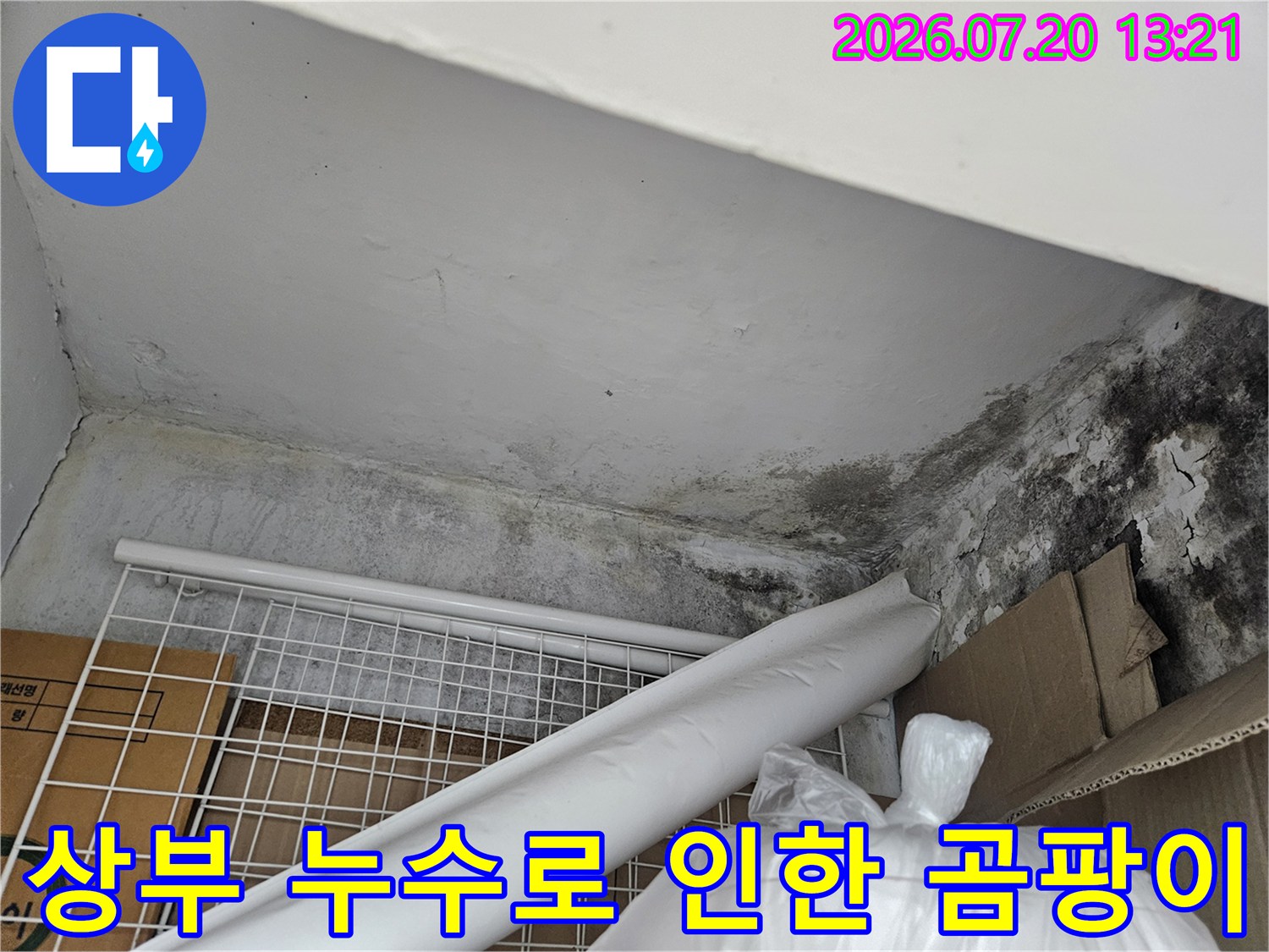 천장과 벽면 모서리 부분에 발생한 심각한 곰팡이와 수분 오염 흔적