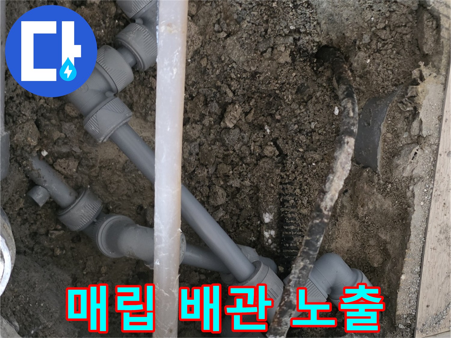 흙과 콘크리트 사이로 드러난 누수 의심 배관 부위