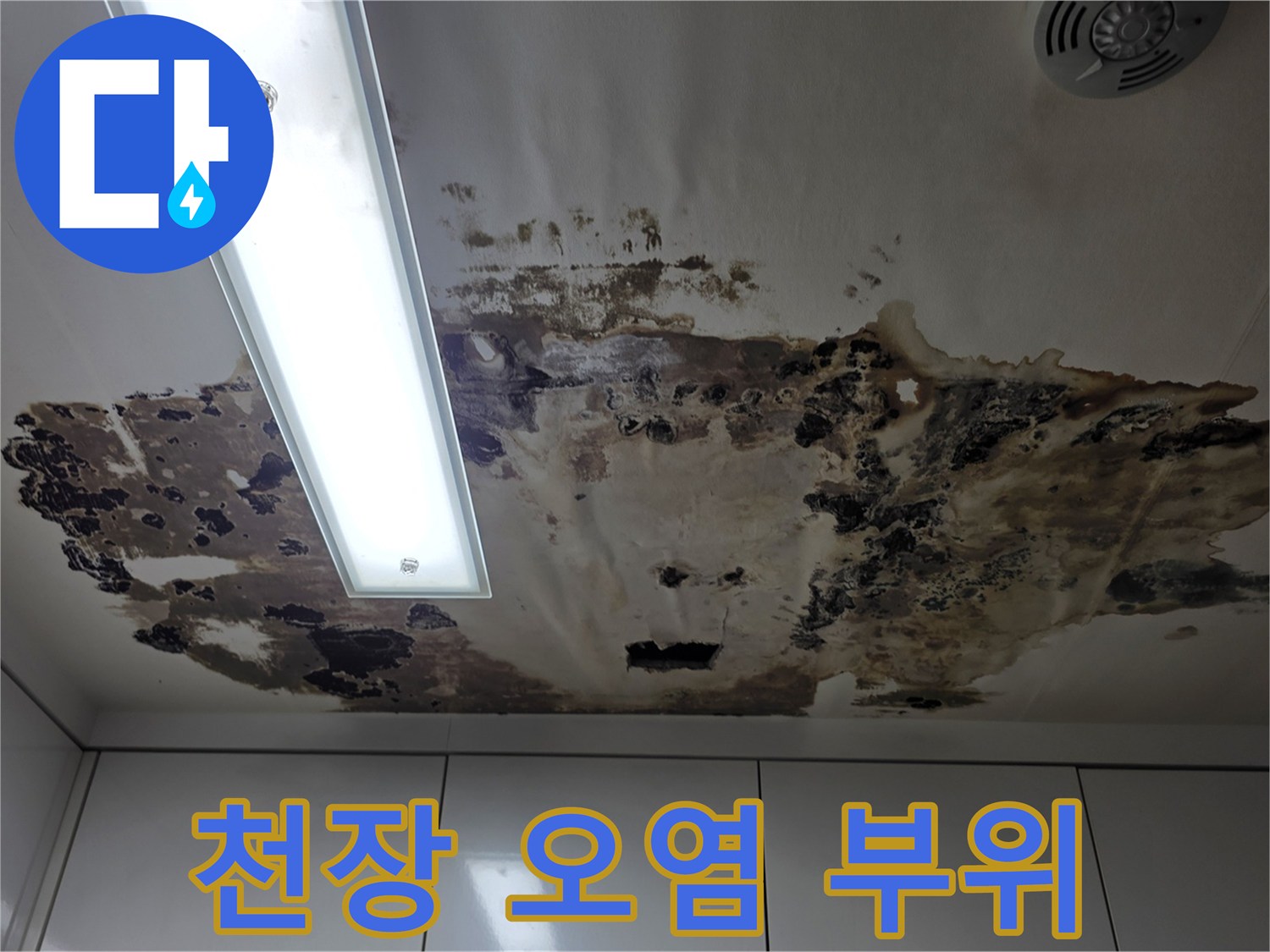 넓은 면적으로 번진 천장 곰팡이와 변색된 마감재