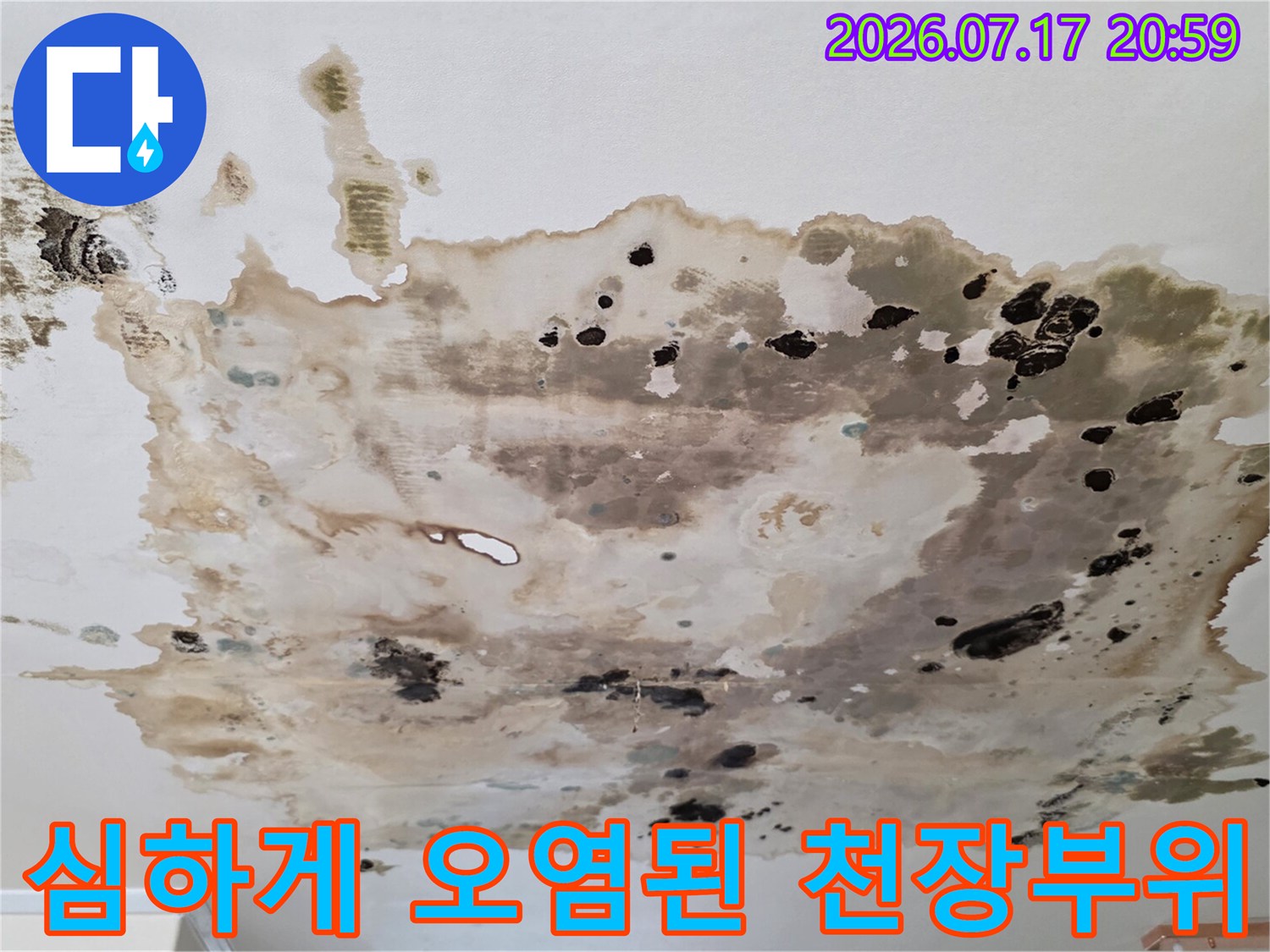 누수의 지속으로 인해 곰팡이와 물자국이 넓게 퍼진 아래층 천장 모습