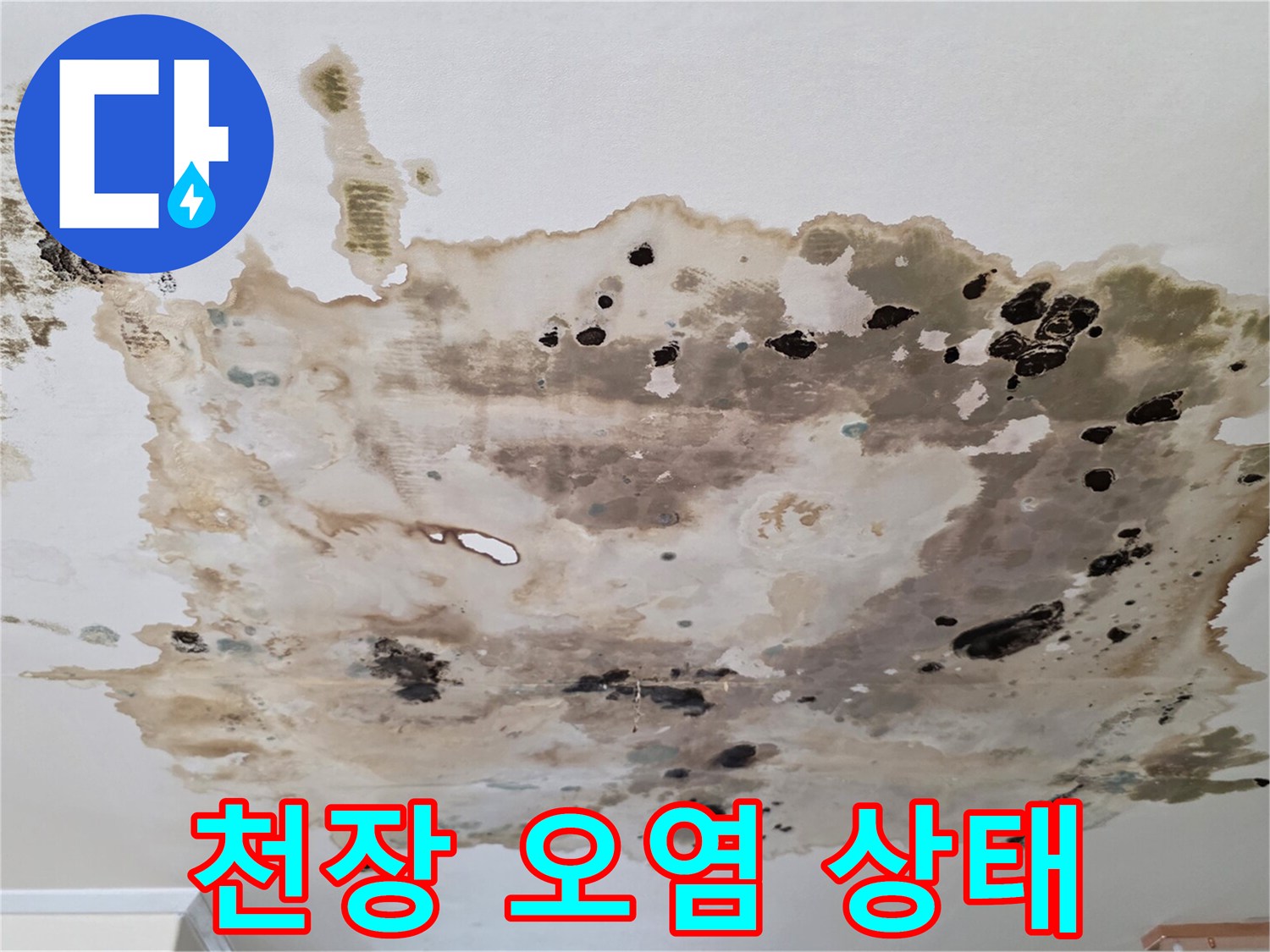 물샘-현상으로-오염된-천장의-전체적인-모습