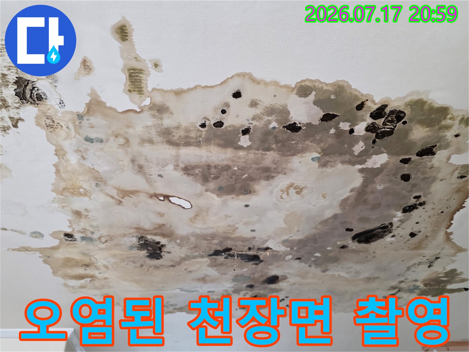 상부 배관 및 방수층 불량으로 발생한 하부층 천장의 얼룩과 곰팡이