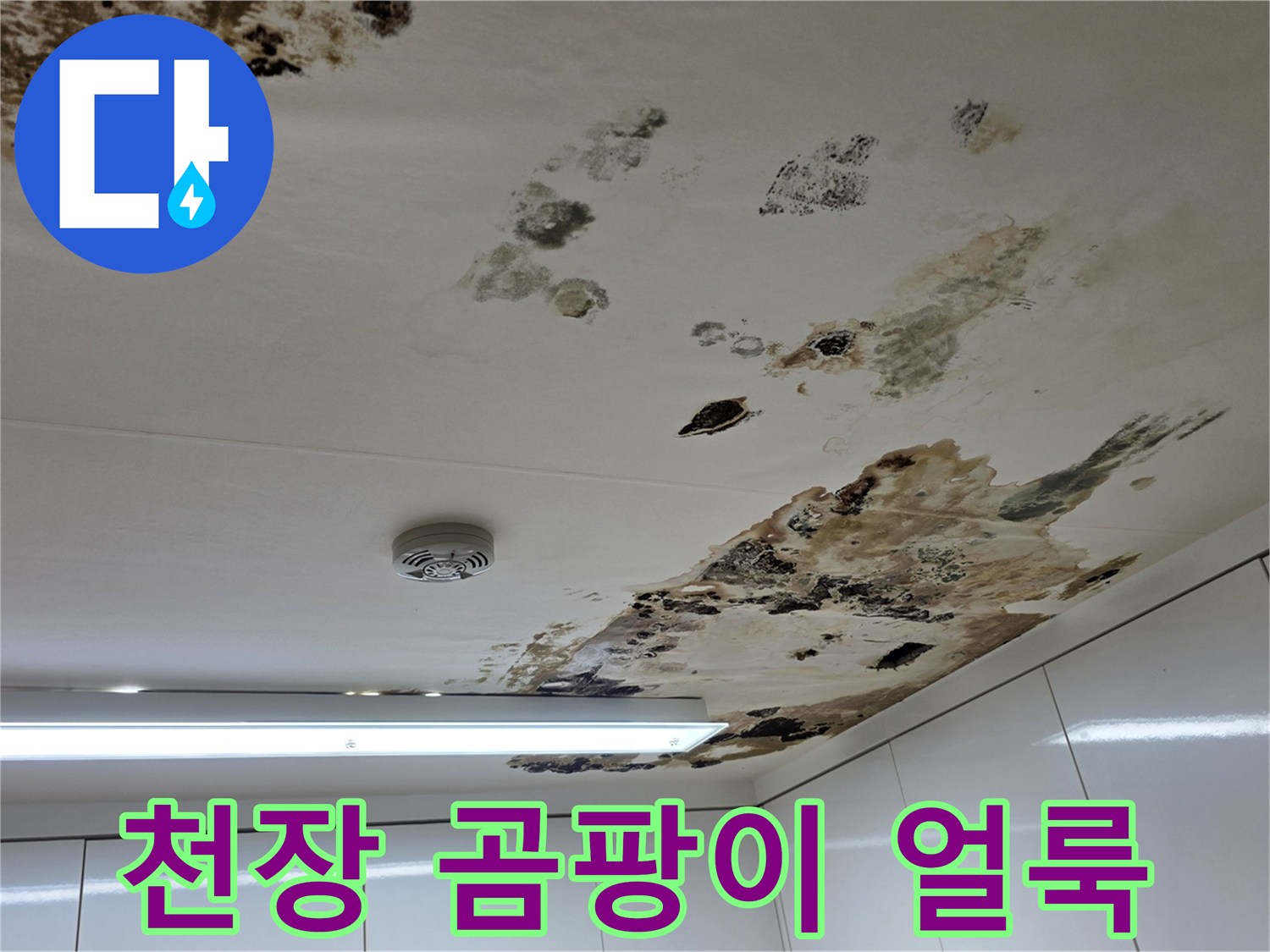 아파트-천장-상단에-퍼진-심한-곰팡이와-물얼룩