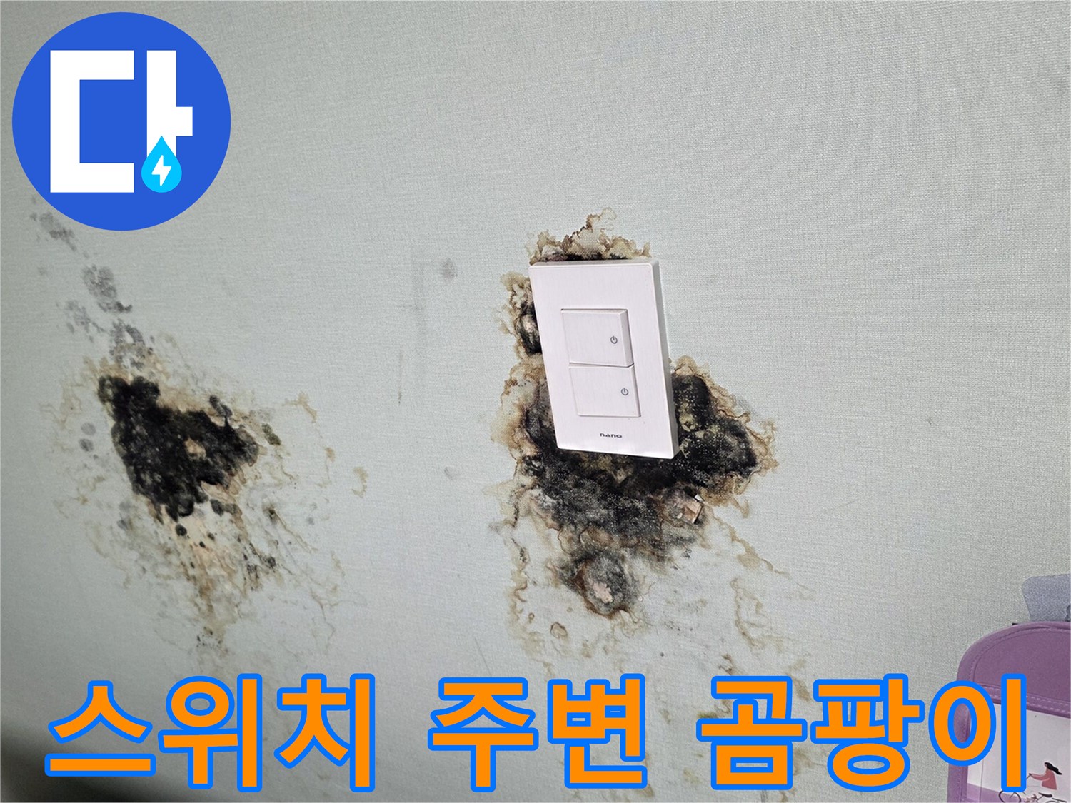 벽면 스위치 부근-심한 물자국과 곰팡이 오염