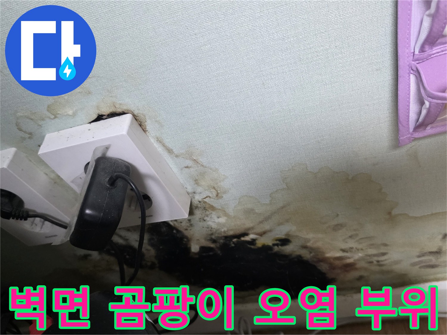 벽지 하단에 넓게 퍼진 검은색 곰팡이와 습기로 인한 변색 상태