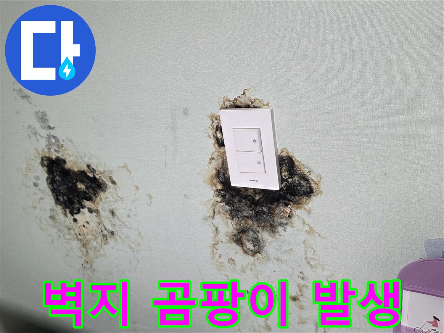 스위치 주변으로 번진 넓은 범위의 곰팡이와 물자국