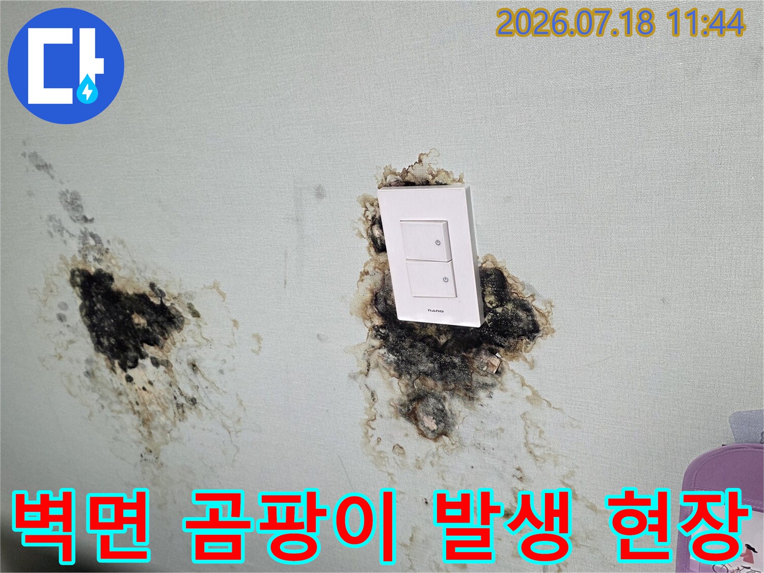 천장 벽면에 고착된 누수 흔적과 곰팡이 오염 부위 촬영