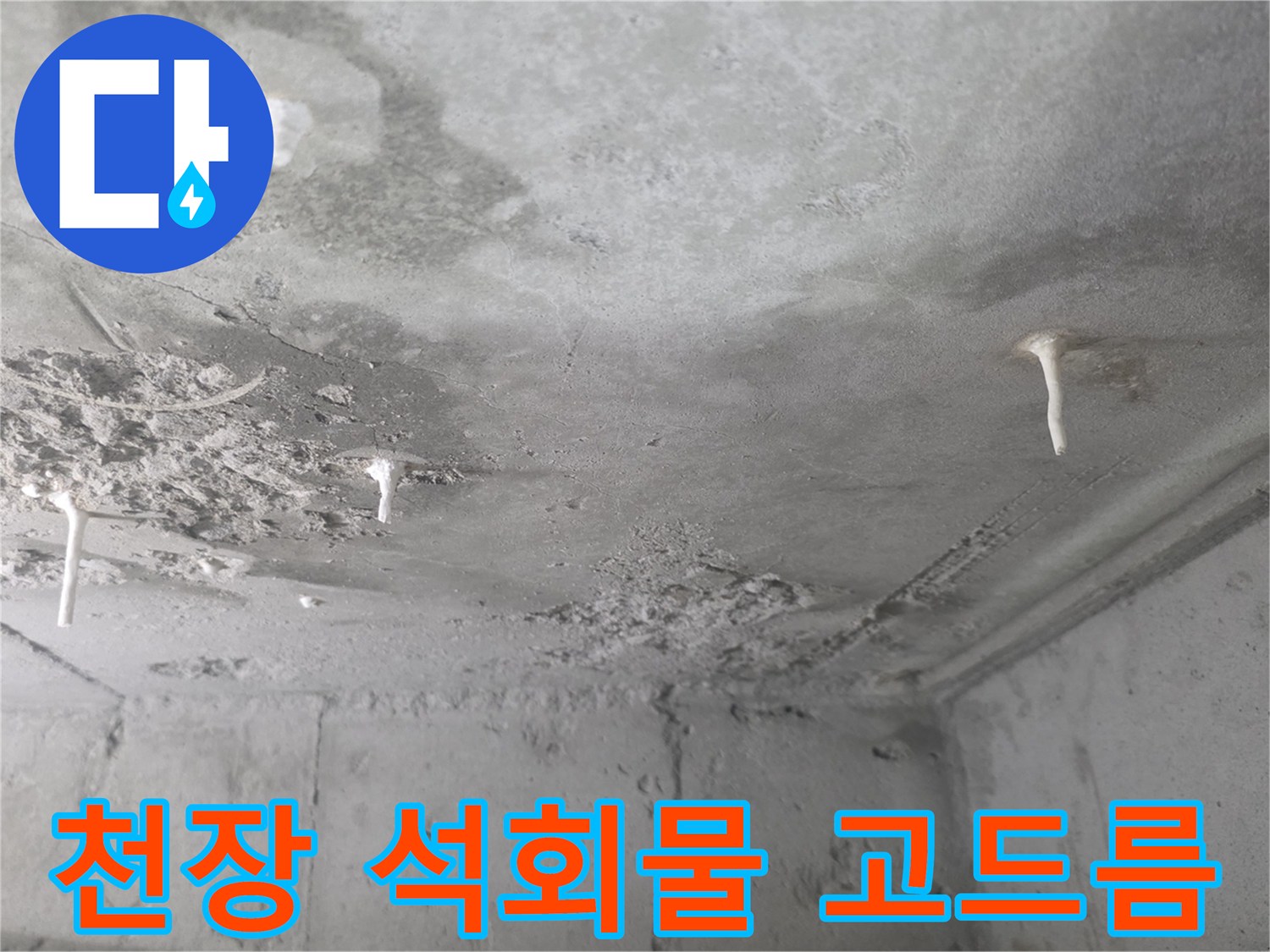 아랫집 화장실-천장 슬라브에 맺힌-하얀 석회물 현상
