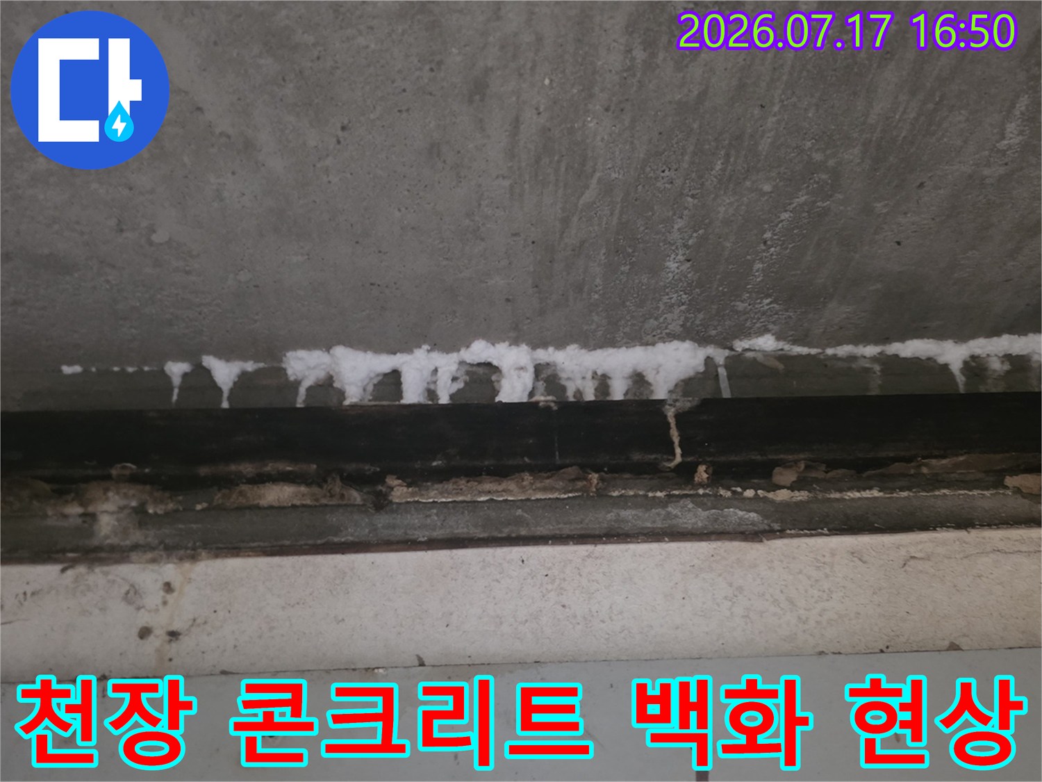 콘크리트 천장 슬래브 가장자리에 하얀색 백화 물질이 고드름처럼 맺혀 있는 모습