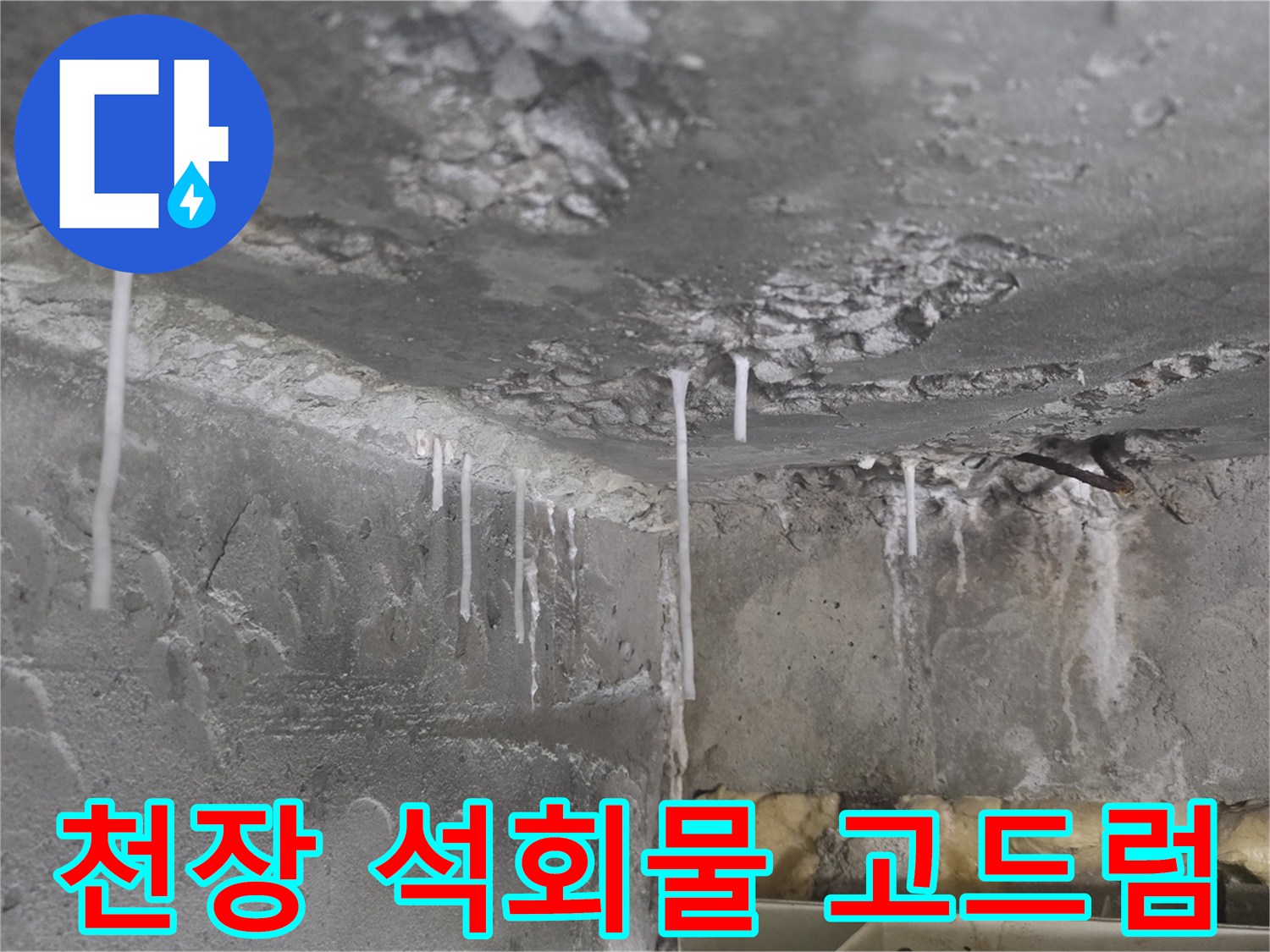 콘크리트 천장에서 떨어지는 하얀색 석회 성분의 누수 흔적