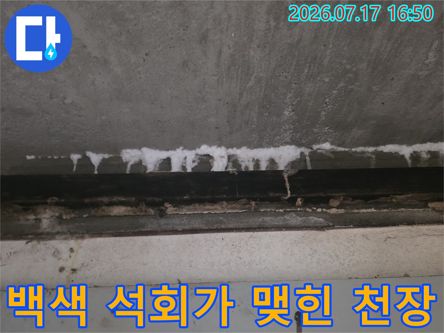 콘크리트 천장의 접합 부위를 따라 하얀색 백화 물질이 길게 늘어진 모습