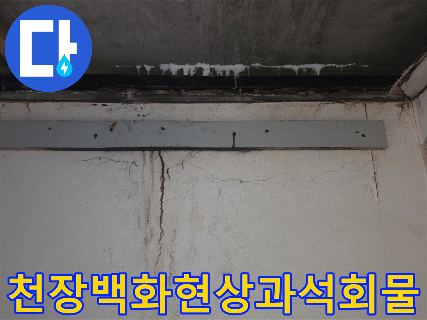 화장실-천장-슬라브에서-맺힌-하얀-백화현상-및-석회물-상태