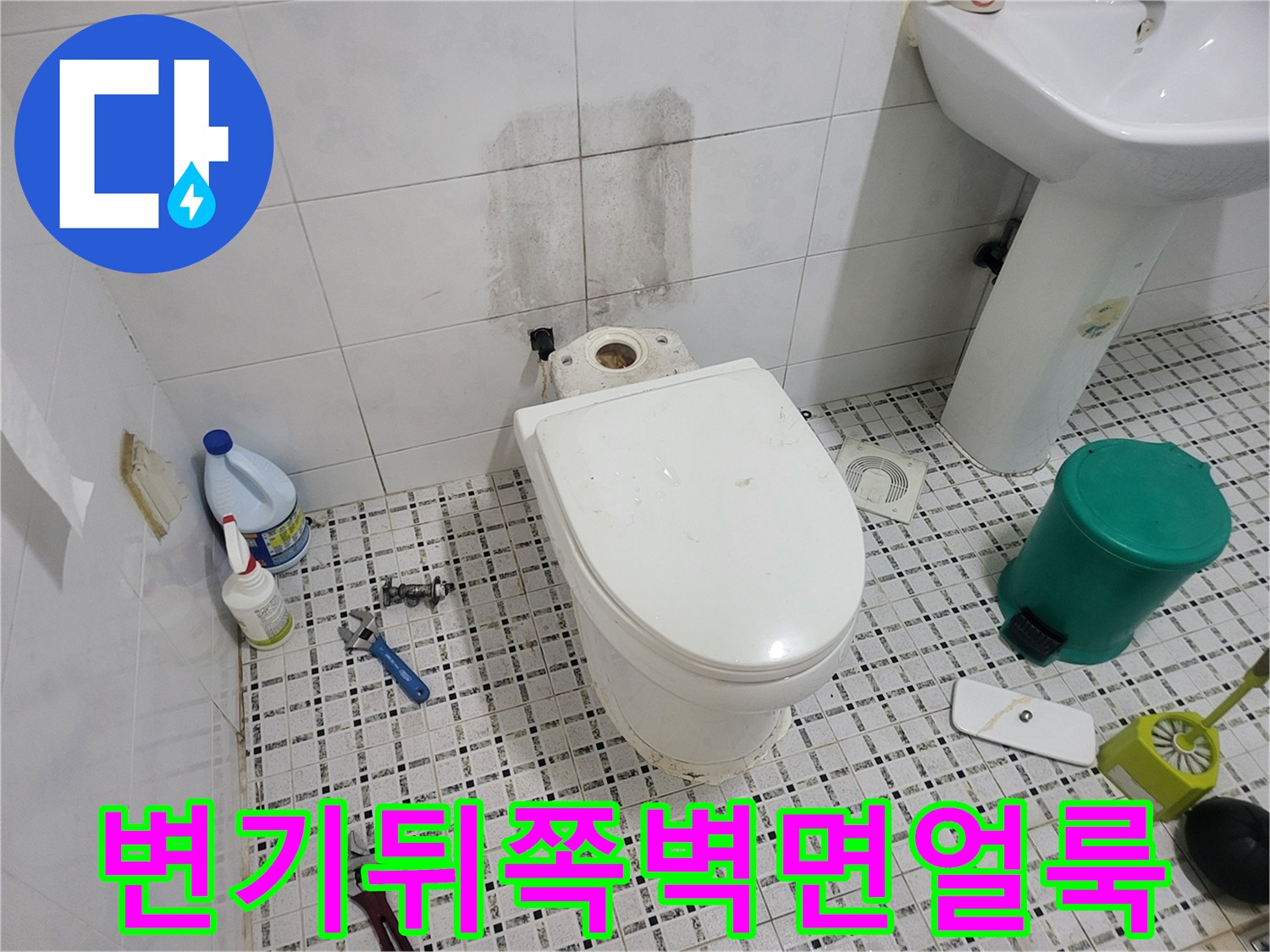 변기 뒤쪽 타일 벽면에 발생한 짙은 습기 얼룩과 물샘 흔적