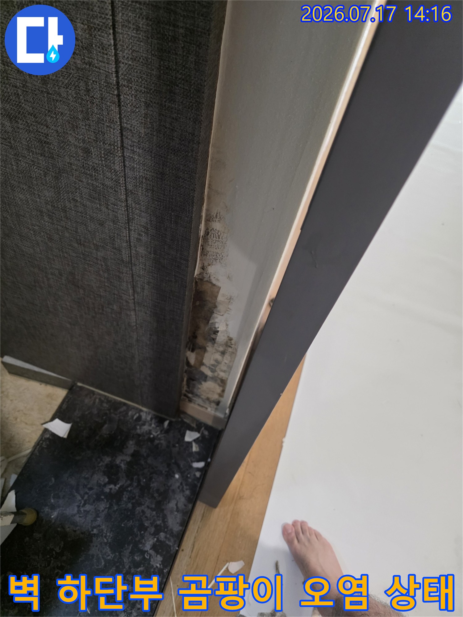 벽지와 바닥 접합부에 발생한 검은색 곰팡이-오염 부위 사진