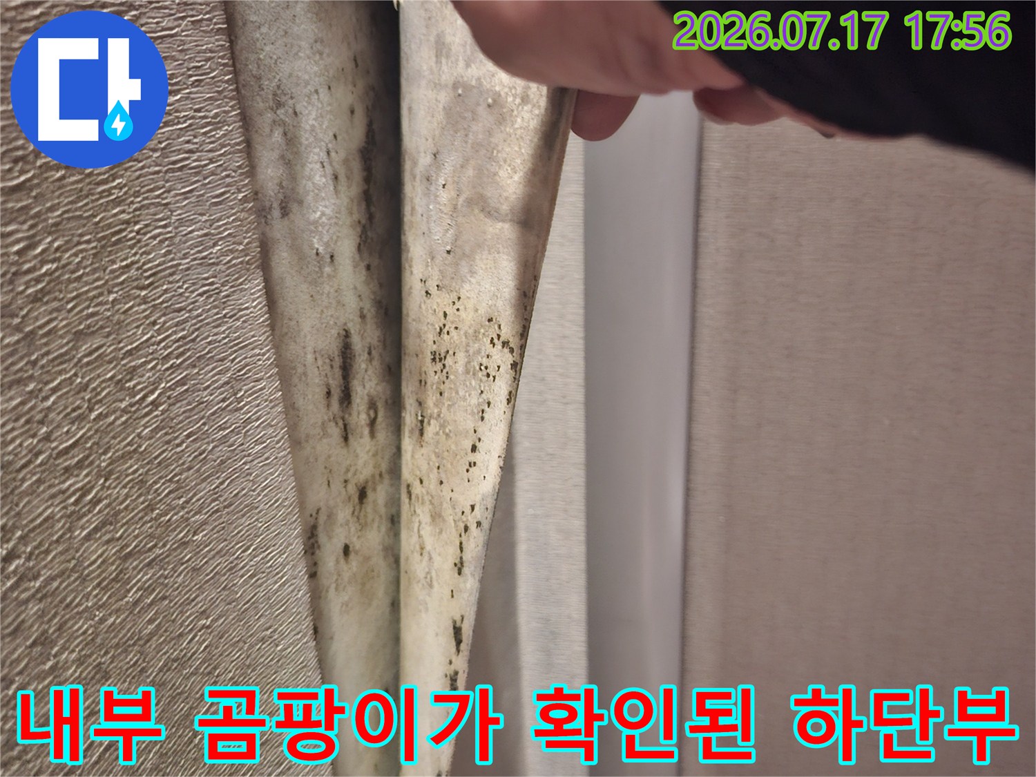 손가락으로 걸레받이 끝단을 들어 올려 내부의 지저분한 곰팡이 흔적을 노출시킨 모습