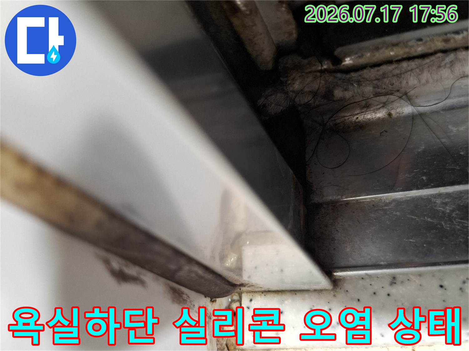 화장실 바닥과 벽면 접합부의 노후된 실리콘-마감재 사이로 곰팡이가 발생한 모습
