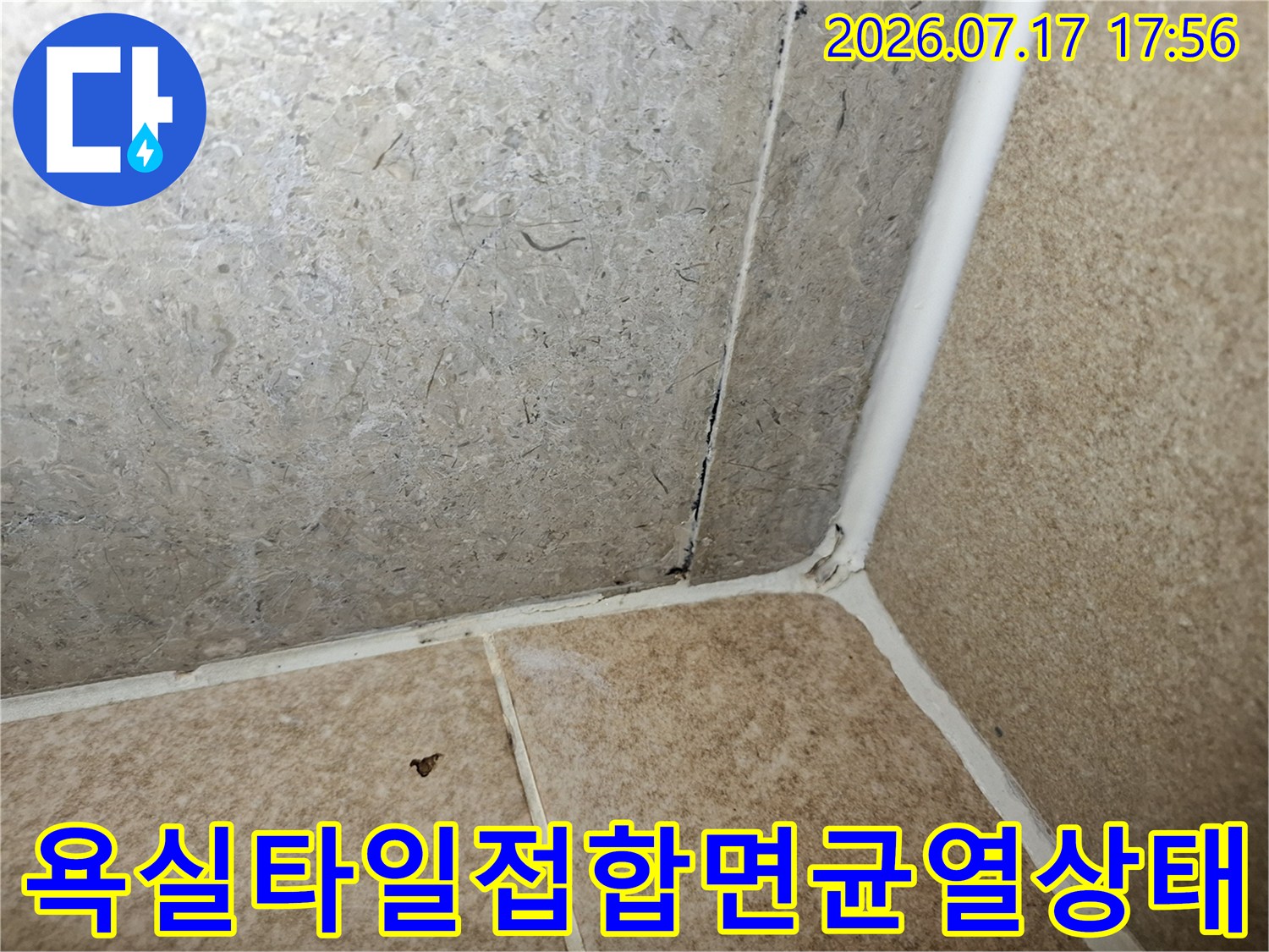 회색-벽타일과-베이지색-바닥타일의-경계선에-나타난-백시멘트-파손-현장