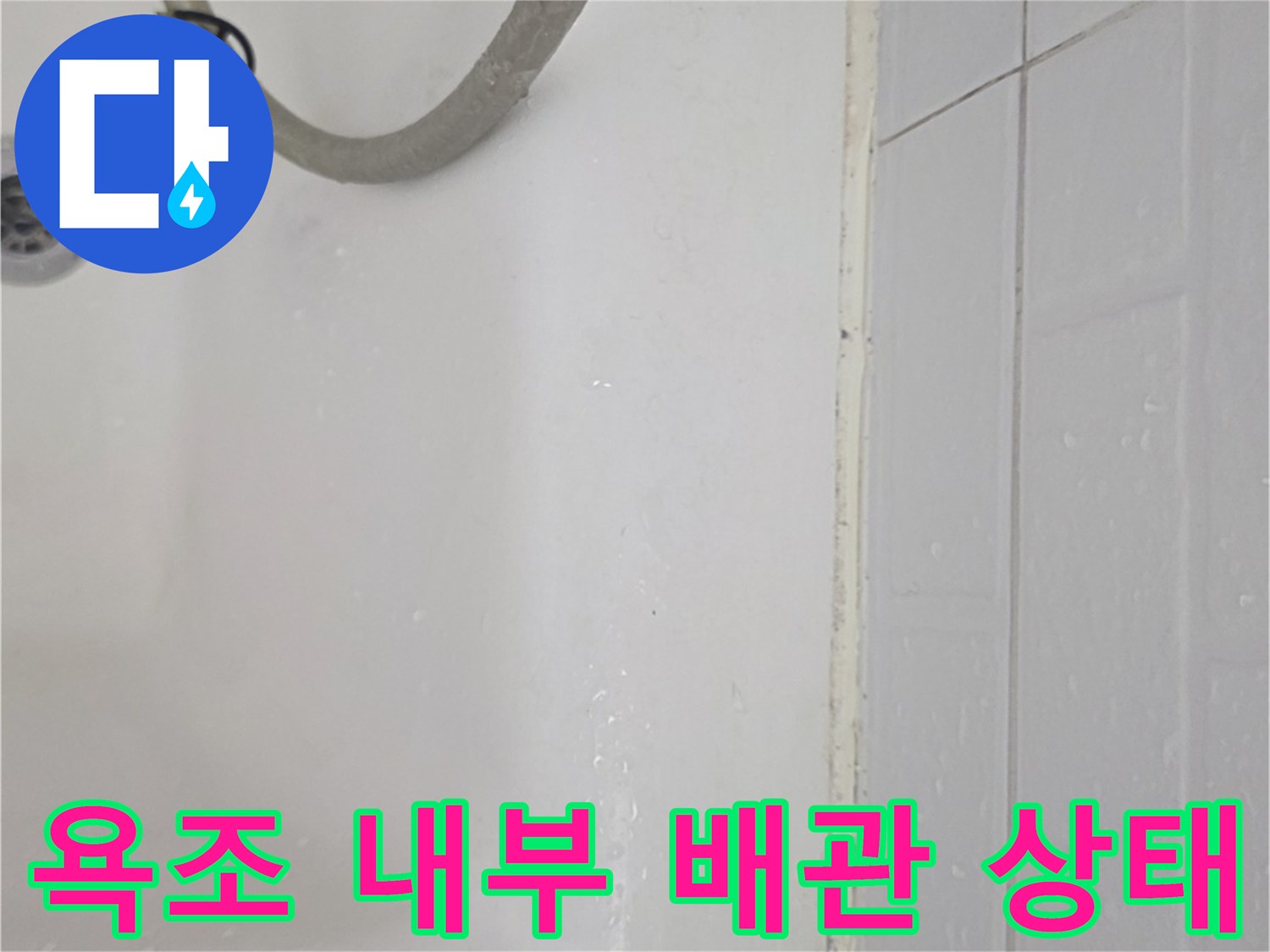 욕조 안쪽 배관과 하수구 주변의 젖은 상태를 보여주는 사진입니다.