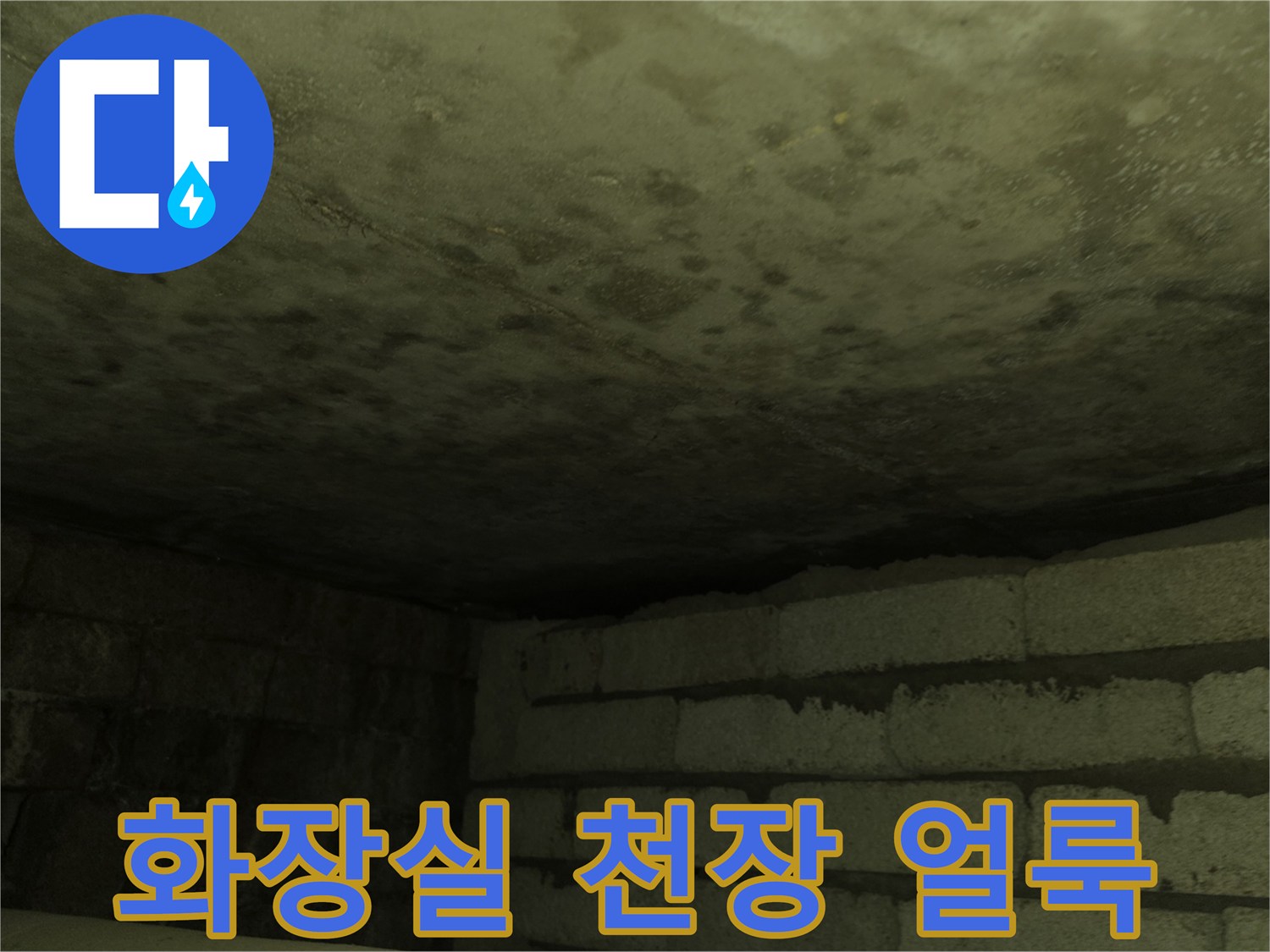 인천 서구 심곡동 화장실 천장 내부의 습기와 물자국 현상