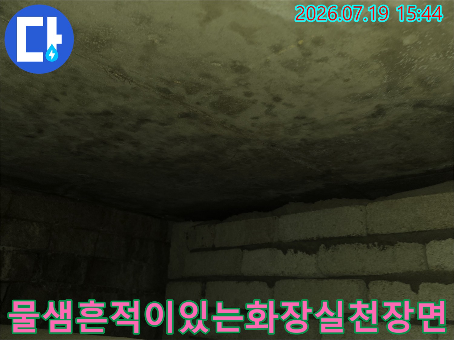 화장실 천장의 콘크리트 슬래브 표면에 누수로 인한 얼룩과 습기가 가득한 모습