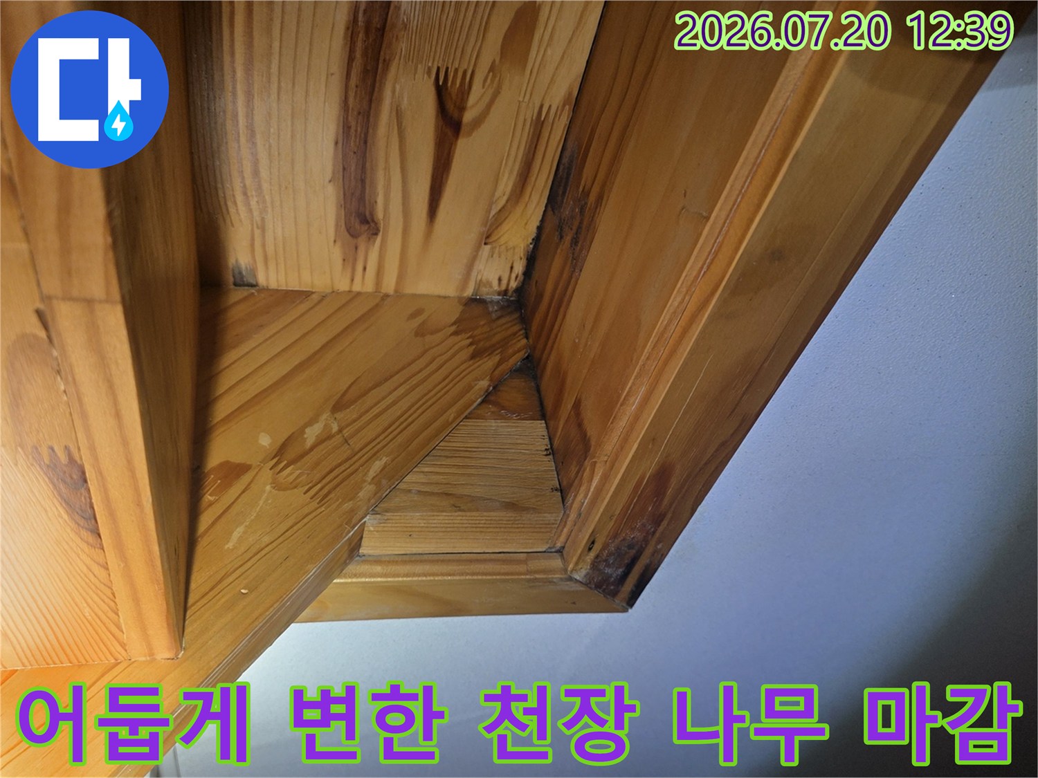 나무 천장의 접합 모서리 부분이-습기로 인해 짙은 색으로 오염된 모습