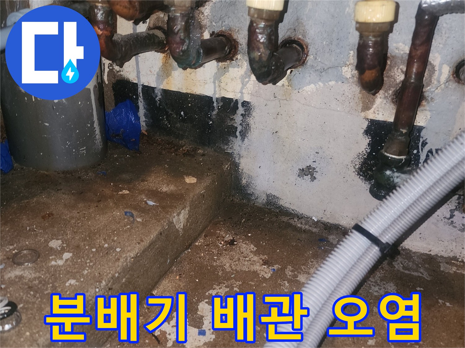 보일러 분배기 연결 배관 주변의 검은 곰팡이와 물자국 상태