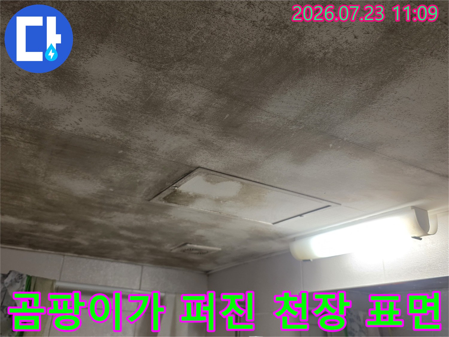 물샘 현상으로 인해 곰팡이와 물때가 가득한 화장실 천장 내부 사진