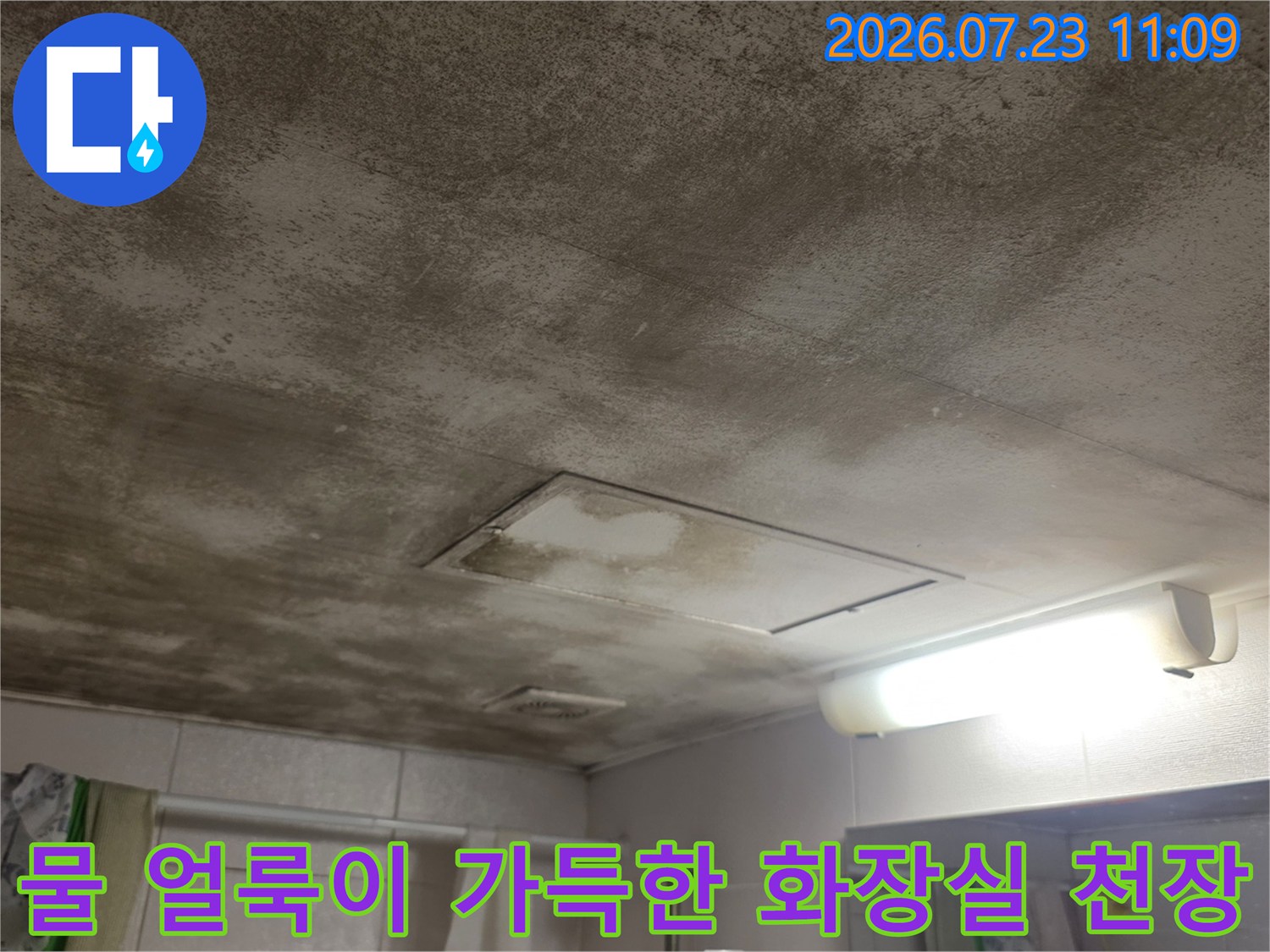 습기로-인해-곰팡이가-발생하고-얼룩진-화장실-천장-면