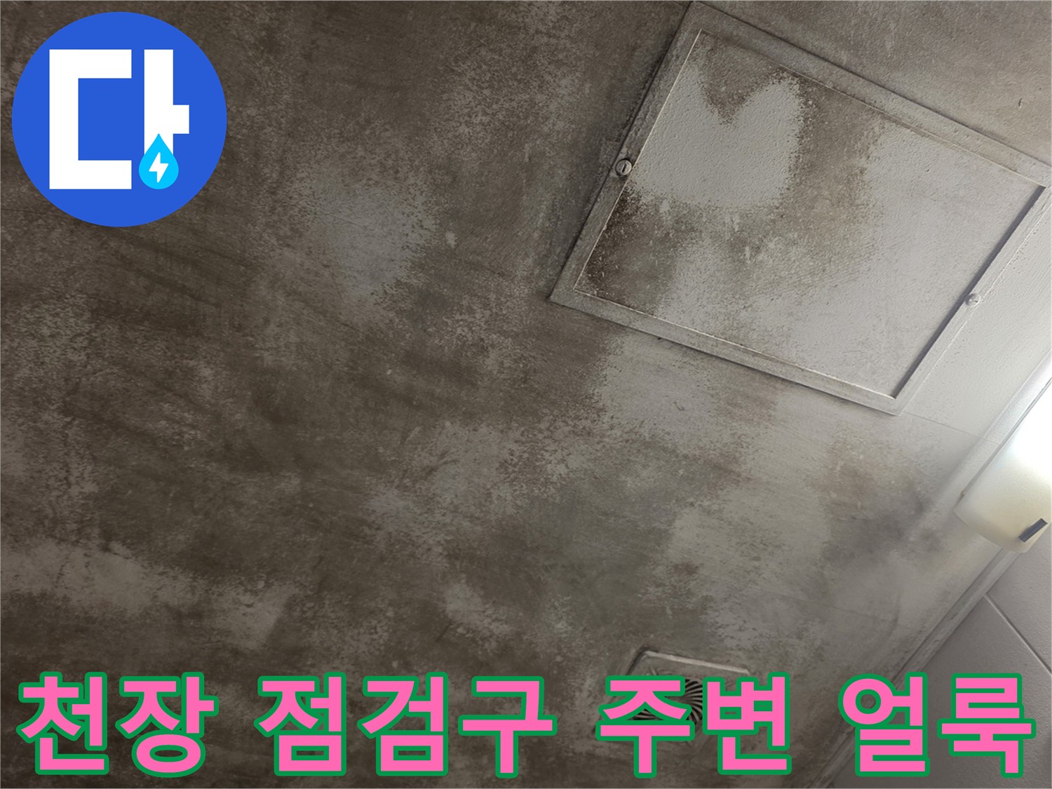 아파트 천장-점검구 주변-누수 변색 부위