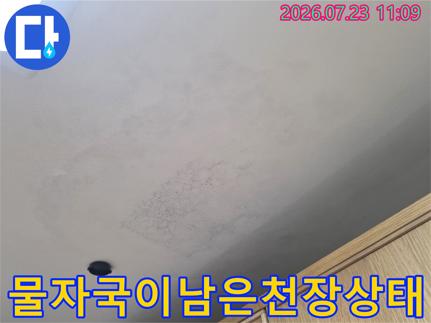 흰색-천장에-번진-회색빛의-습기-얼룩과-작은-곰팡이-점들