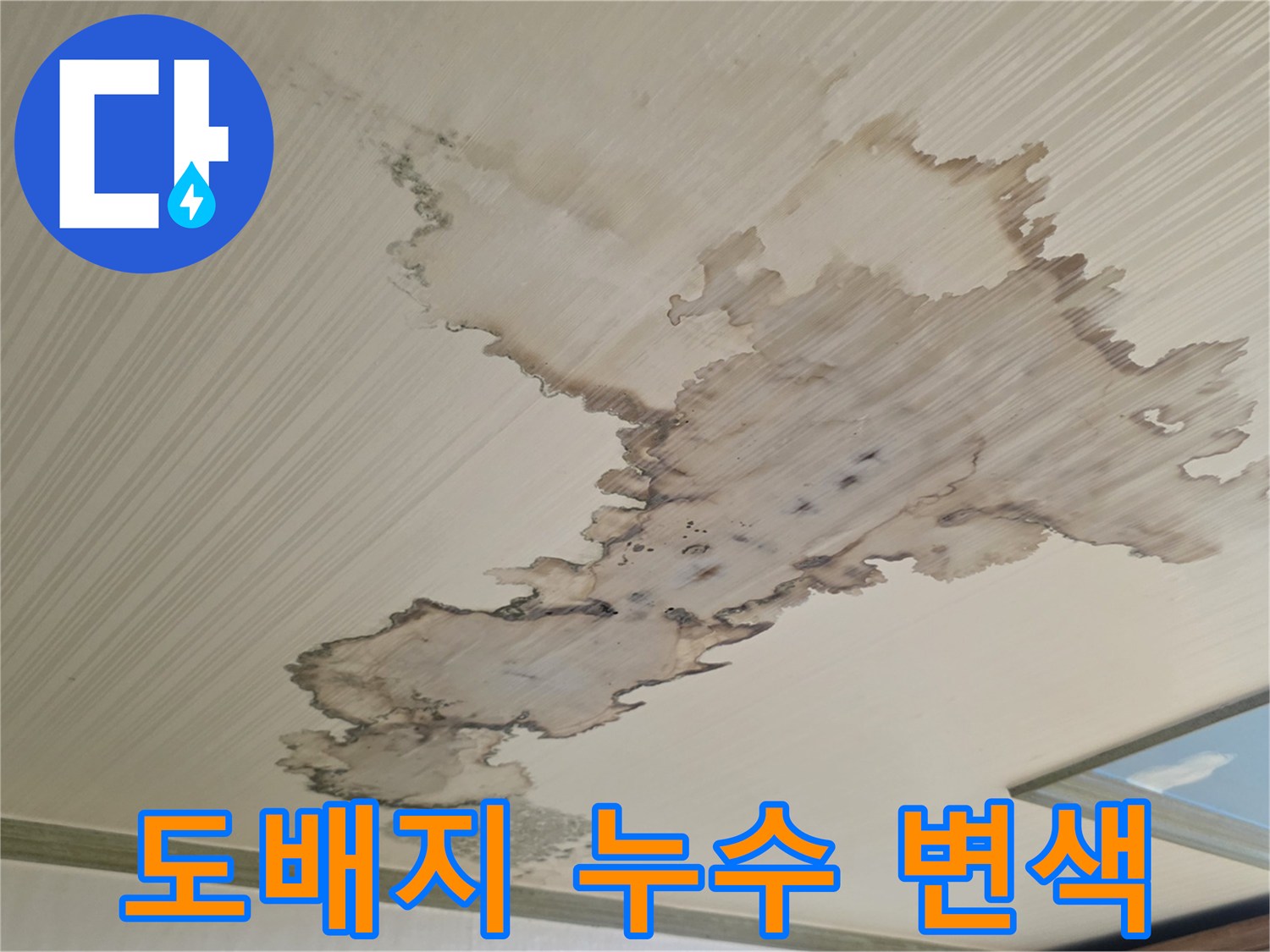 물샘 현상으로 인해 변색된 천장 도배지의 모습