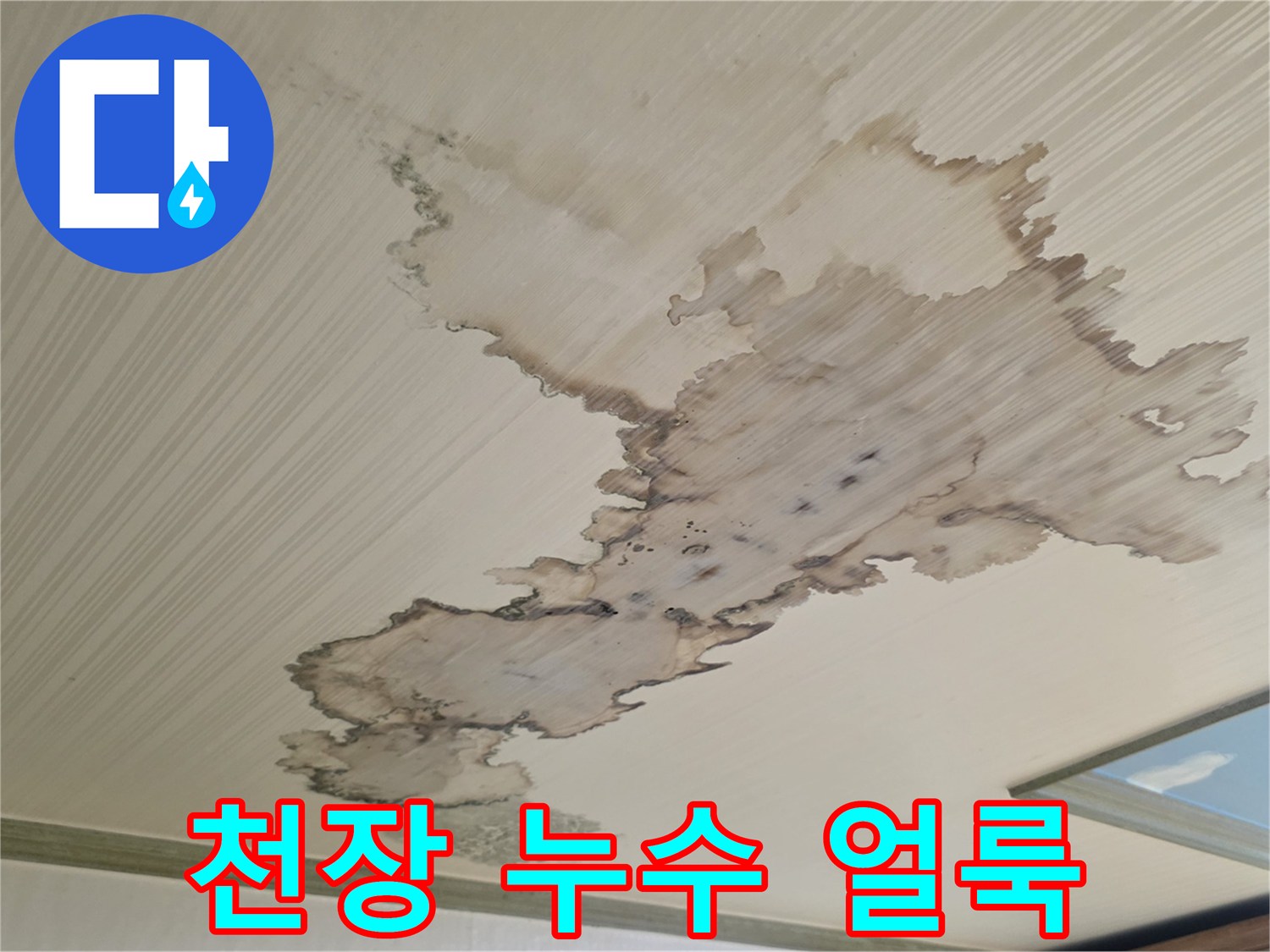 성북구 정릉동 아파트 천장에 발생한 광범양한 물 얼룩 현상