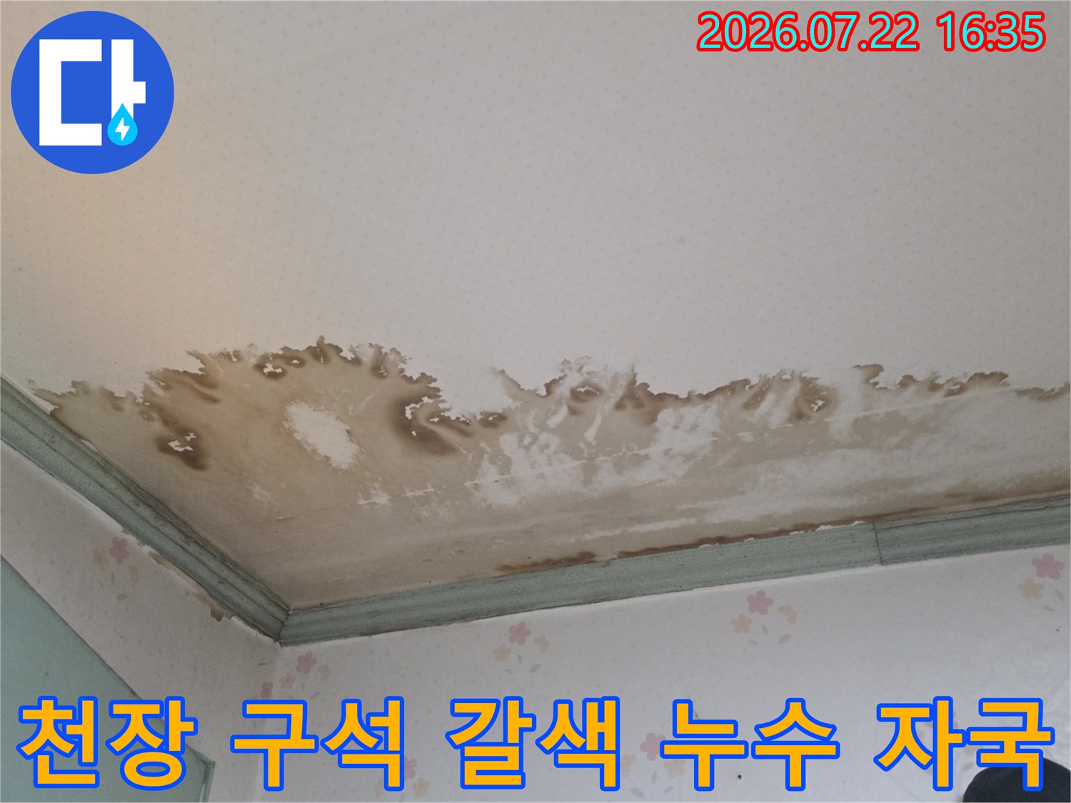 흰색 천장지와 몰딩 사이로 번진 짙은 갈색의 누수 얼룩-곰팡이 발생 모습