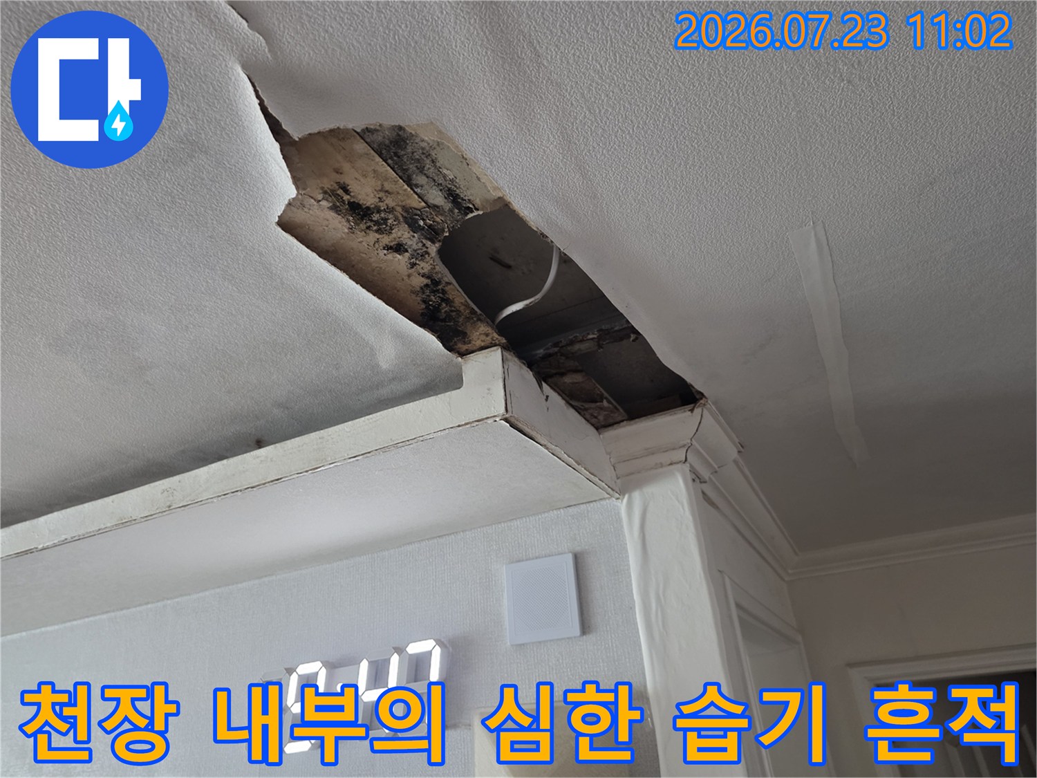 파손된 천장 마감재 틈으로 보이는 콘크리트 표면의 검은색 습기 얼룩과 오염 상태