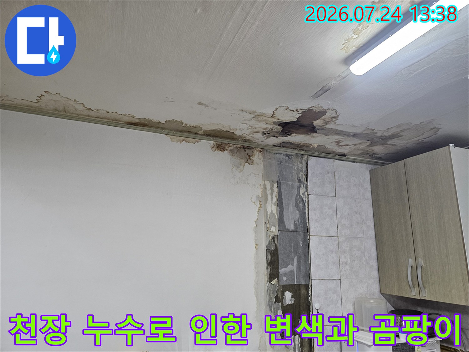 빌라-반지하-천장에서-발생한-심각한-누수-얼룩-및-곰팡이-상태
