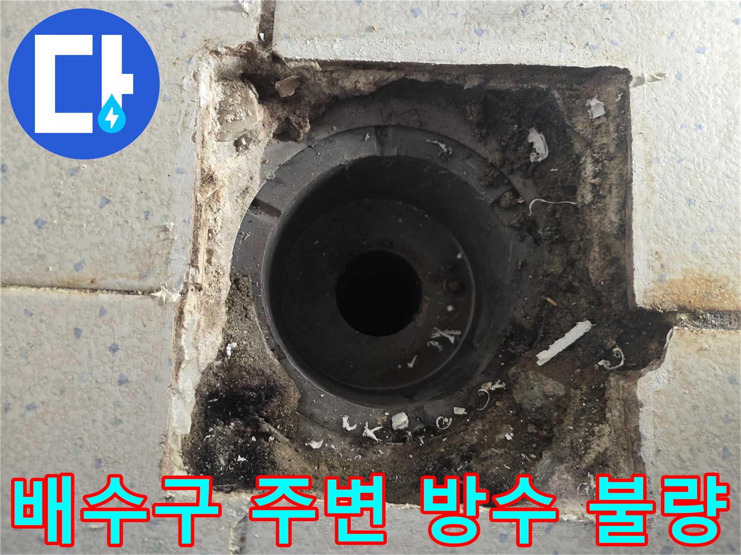 주방 배수구-유가 주변의 곰팡이와 오염된 상태를 보여주는 사진