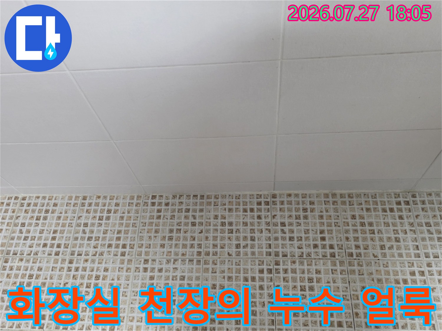 흰색 화장실 천장 패널 중앙에 물이 스며들어 발생한 어두운 색의 누수 얼룩-모습