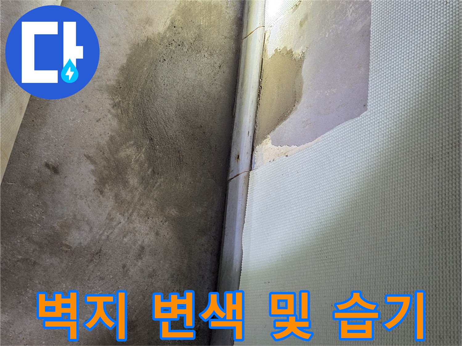 광주 신현동-벽면 하단에 나타난 젖은 얼룩과 습기 흔적