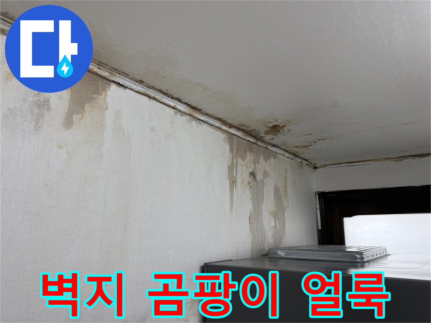 습기로-인해-변색되고-곰팡이가-발생한-벽면-모습
