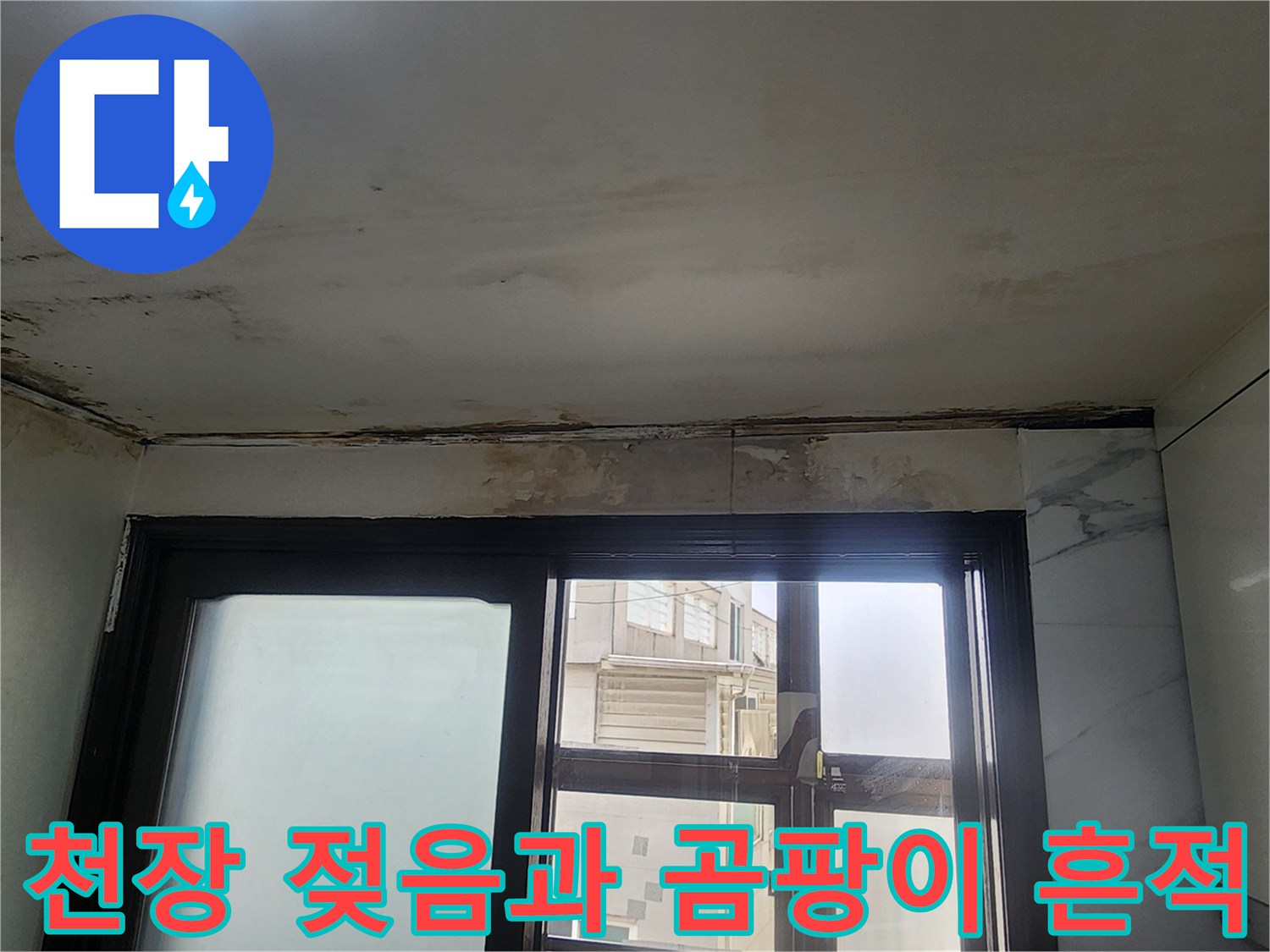 은평구 빌라 주방 천장의 젖은 얼룩과 곰팡이가 발생한 상태입니다.