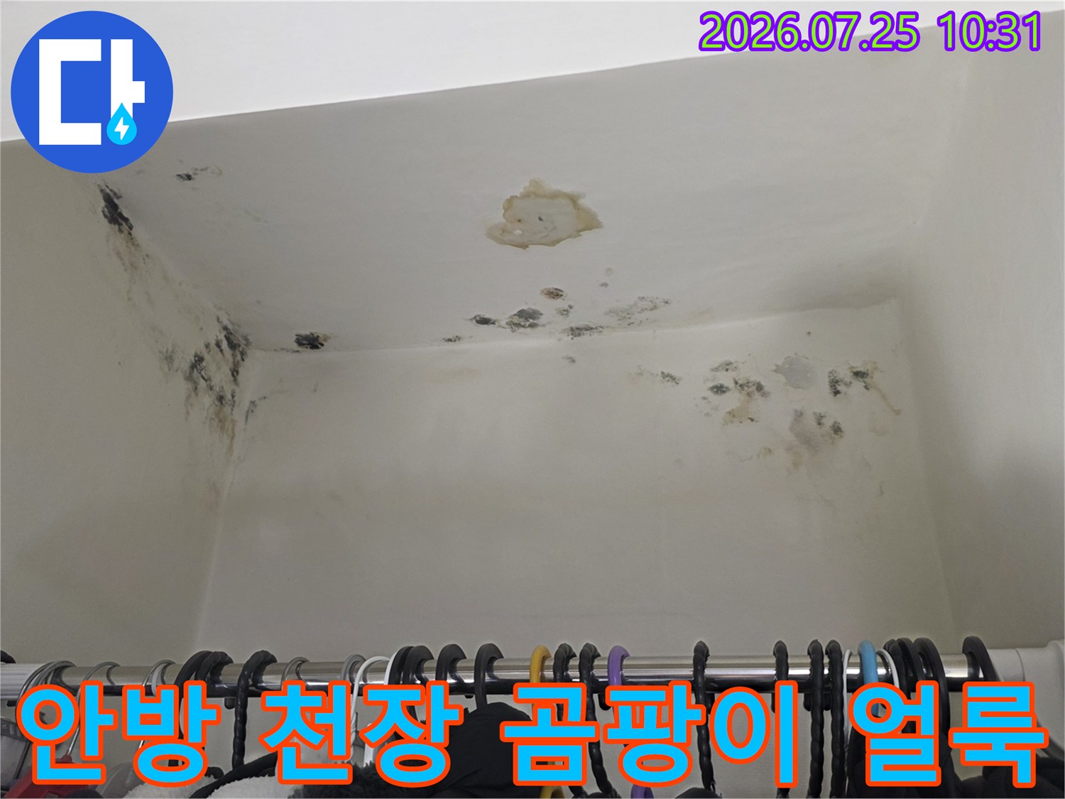 흰색 안방 천장과 벽면 구석에 검은색 곰팡이가 피어 있고 도배지가 벗겨진 모습