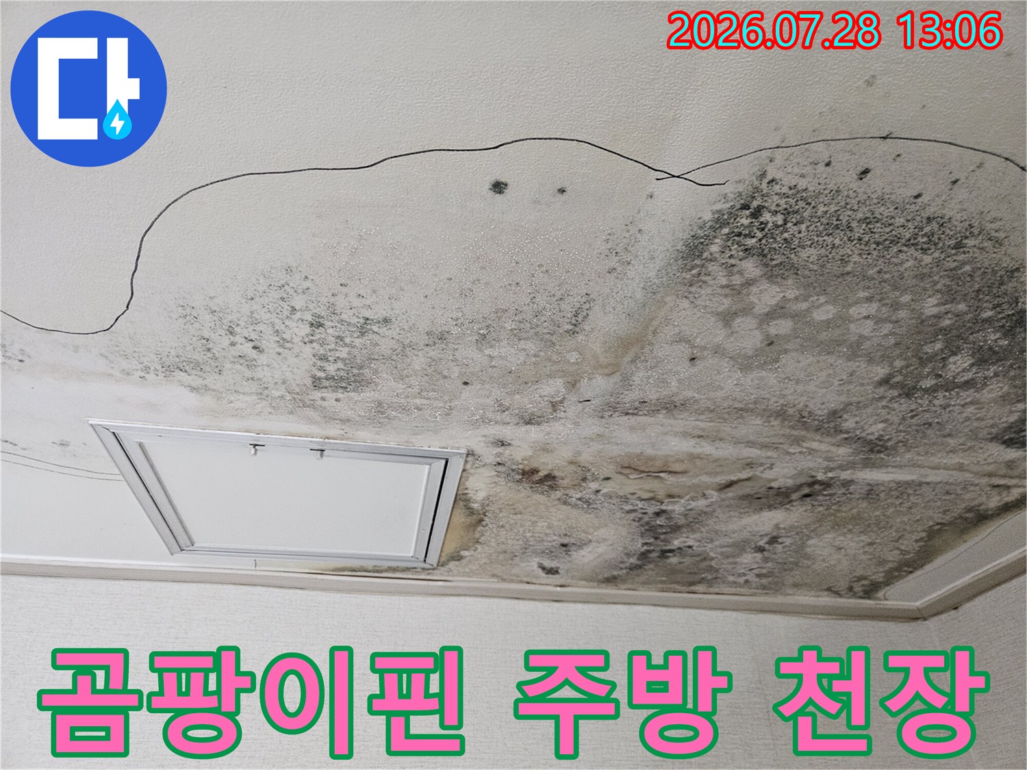 곰팡이가 번진 주방 천장과 배수구 주변의 누수 흔적