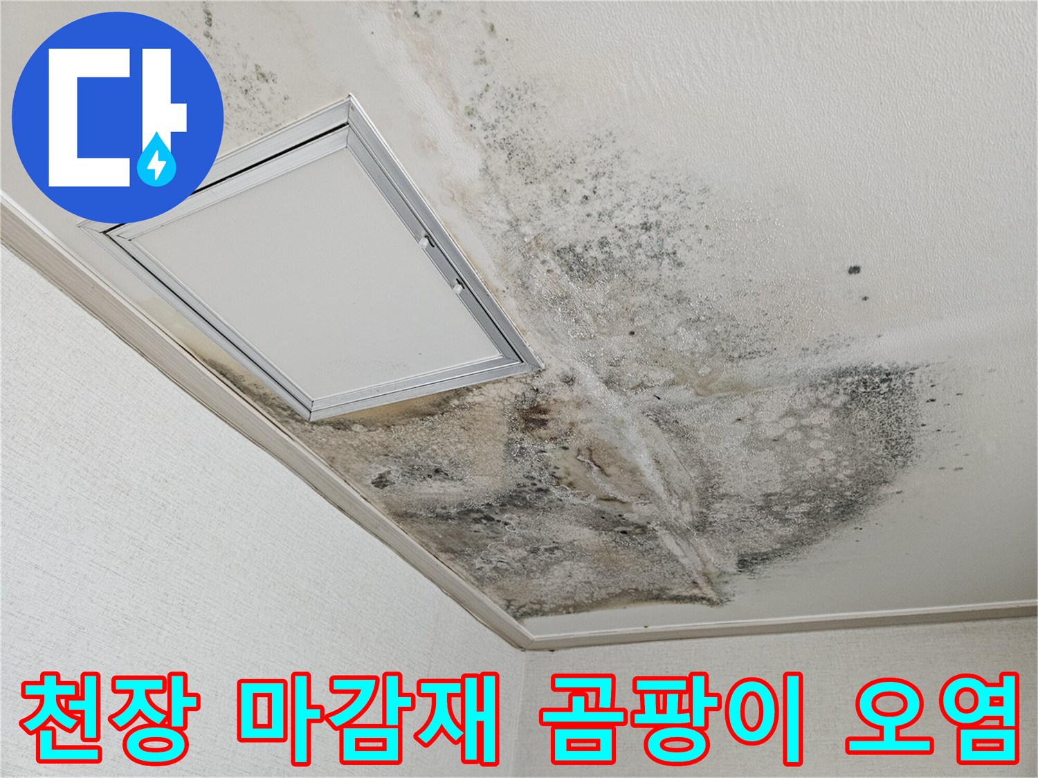 광범위하게 퍼진 천장 곰팡이와 습기로 인한 변색 현상