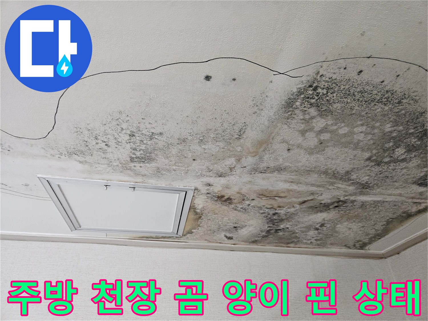 당진 읍내동 현장의 주방 천장 곰팡이 및 누수 얼룩 사진