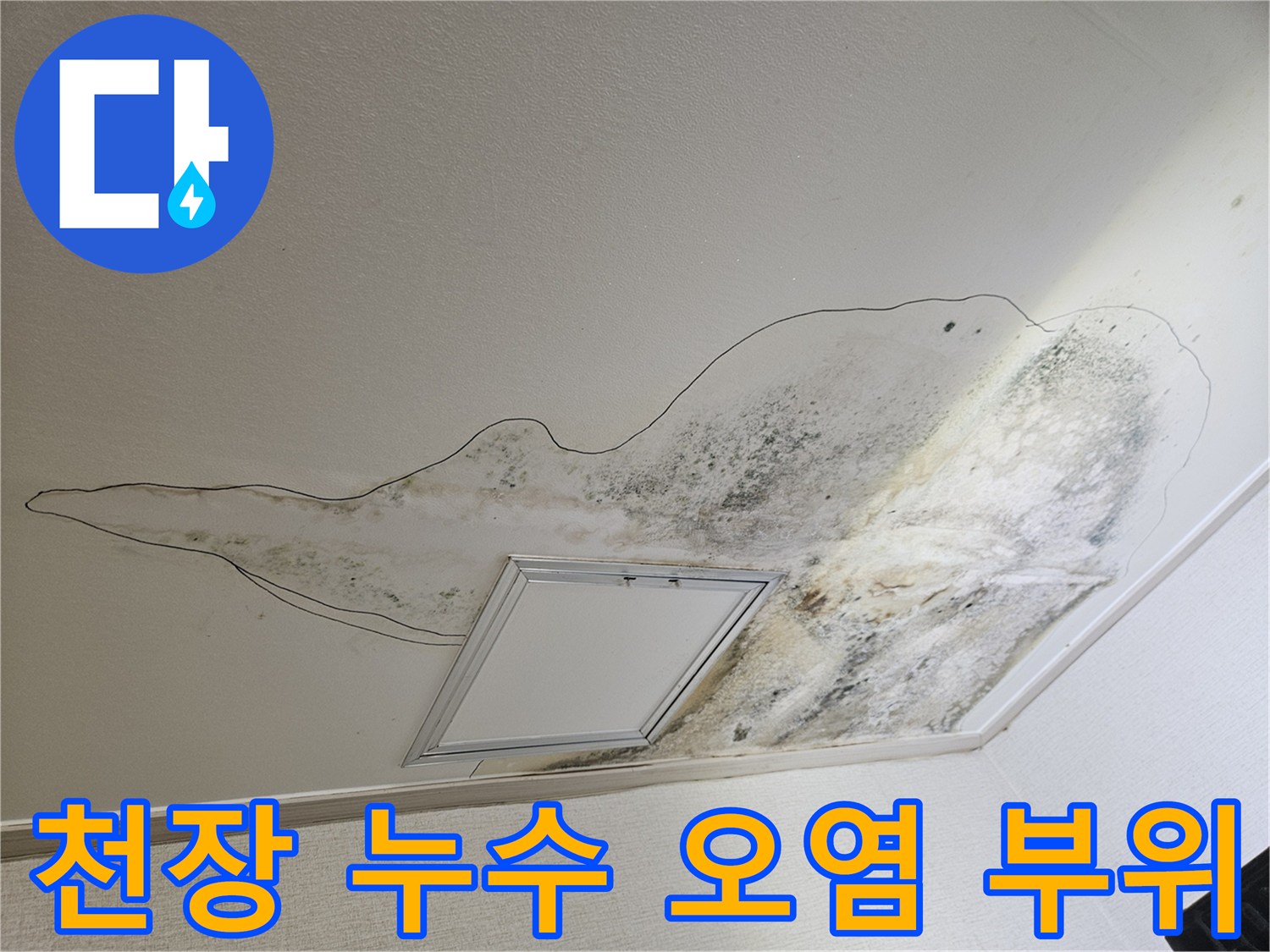 물샘으로 인해 변색되고 곰팡이가 발생한 주방 천장 내부 모습