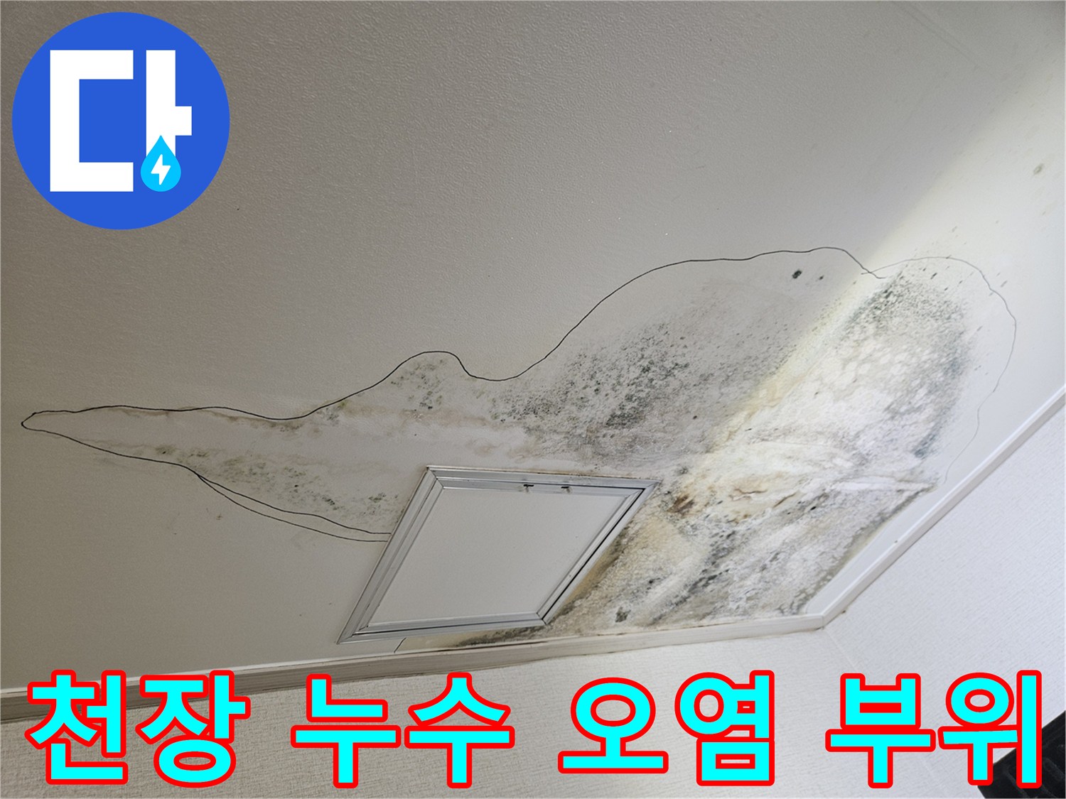 물샘으로 인해 변색되고 곰팡이가 생긴 천장 면적