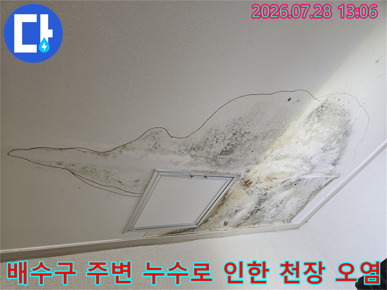 배수 배관 연결 부위의 불량으로 발생한 천장 곰팡이 흔적