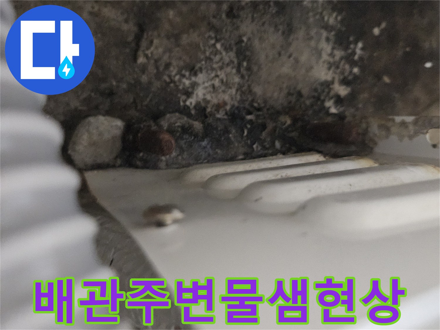 싱크대 하부 배수 배관 근처의 습기 및 곰팡이 발생 부위