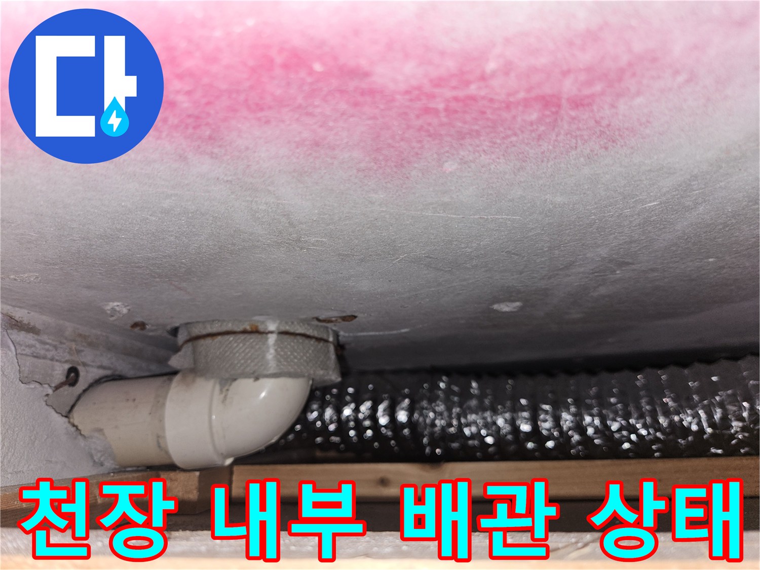 주방-하부-배수-호스와-천장-마감재-곰팡이-상태