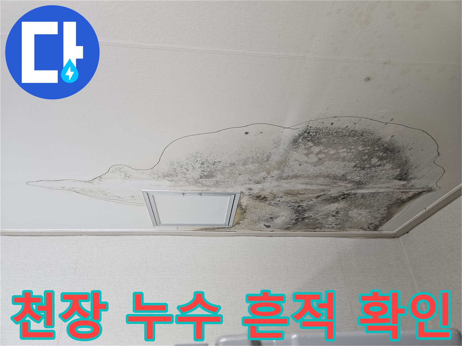 천장 면을 타고 번져나간 검은 곰팡이와 물자국이 남은 현장 사진입니다.